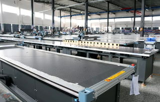 大埔人開的瑞洲科技公司有多牛 產品遠銷亞洲 歐洲 美洲等50多個國家和地區