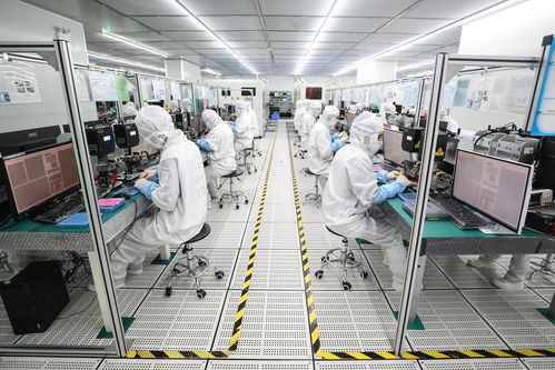 在活力升騰中譜寫振興新篇 透視東北寒冬里的一把 火